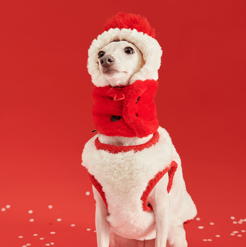 Cozy Italian Greyhound Fleece Vest