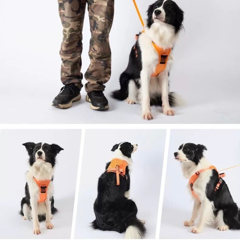 No Pull Dog Harness with Leash