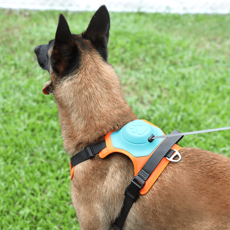 No Pull Dog Harness with Leash