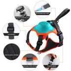 No Pull Dog Harness with Leash
