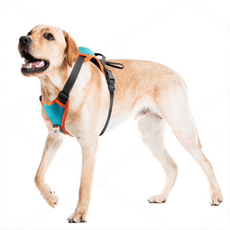 No Pull Dog Harness with Leash