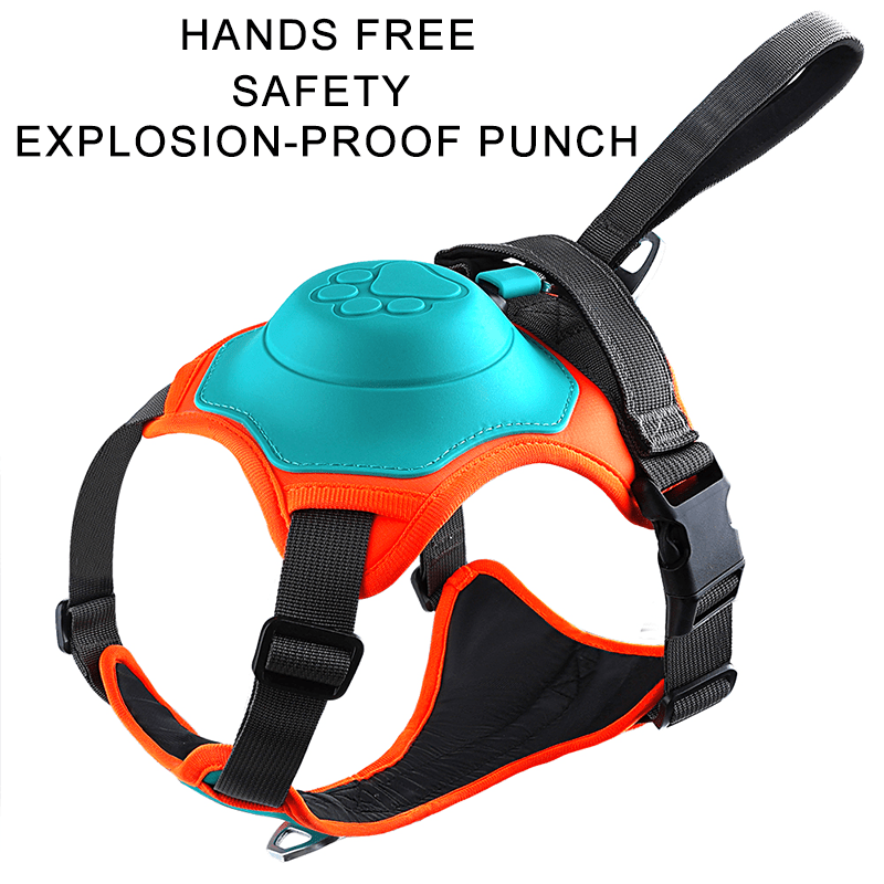 No Pull Dog Harness with Leash
