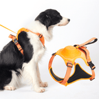 No Pull Dog Harness with Leash