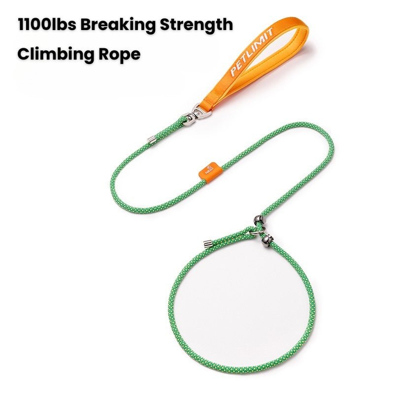 No Pull Dog Training Leash Collar Set