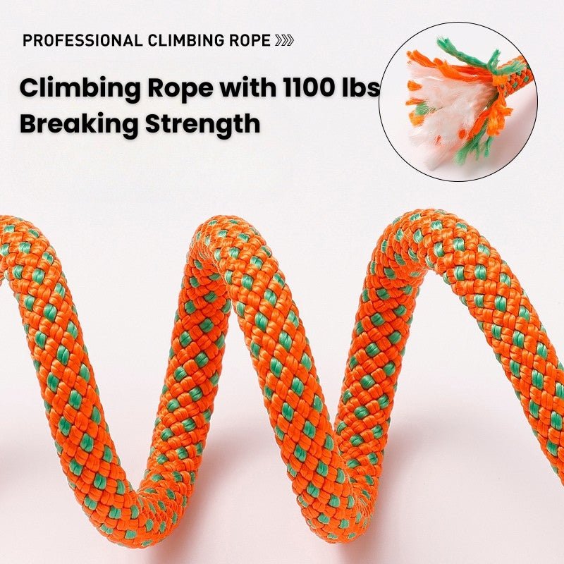 No Pull Dog Training Leash Collar Set