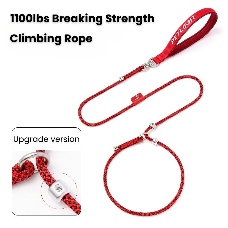 No Pull Dog Training Leash Collar Set