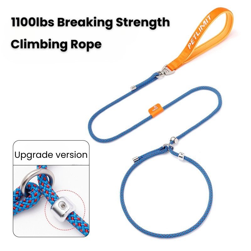 No Pull Dog Training Leash Collar Set