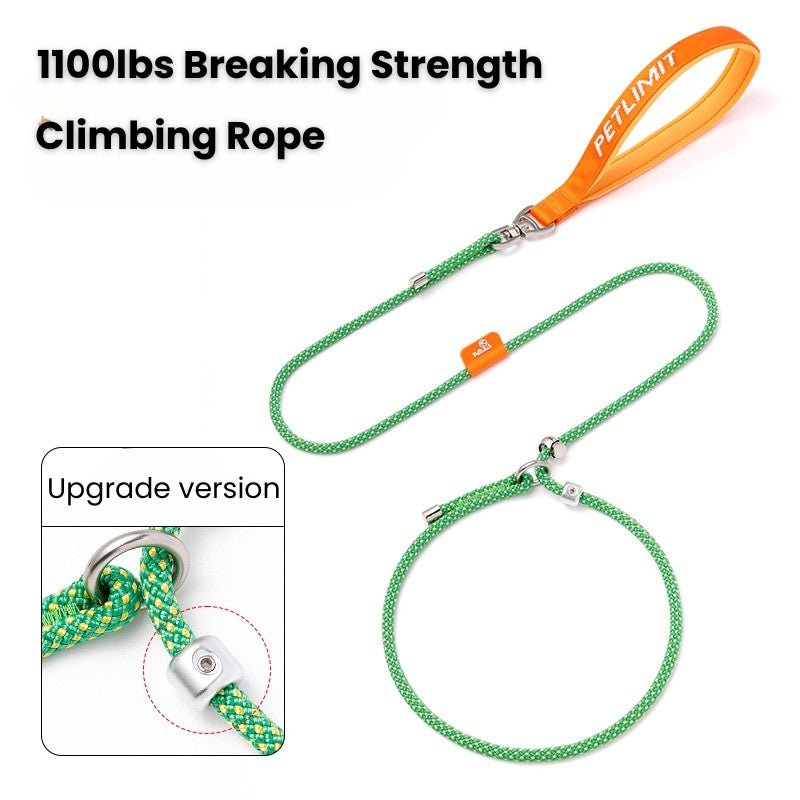 No Pull Dog Training Leash Collar Set