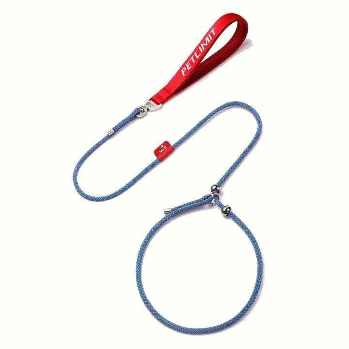 No Pull Dog Training Leash Collar Set