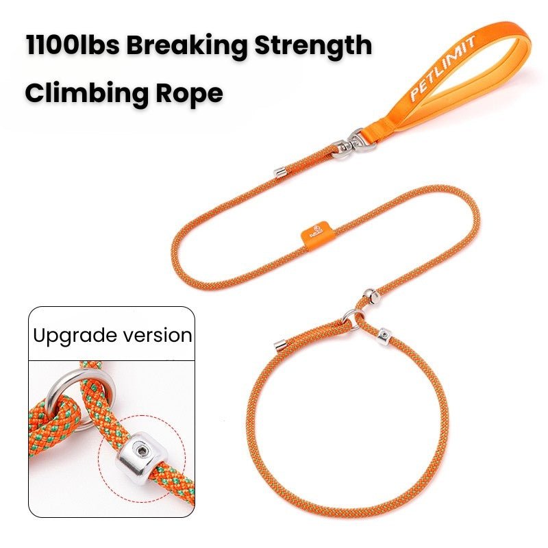 No Pull Dog Training Leash Collar Set