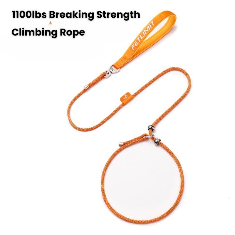 No Pull Dog Training Leash Collar Set