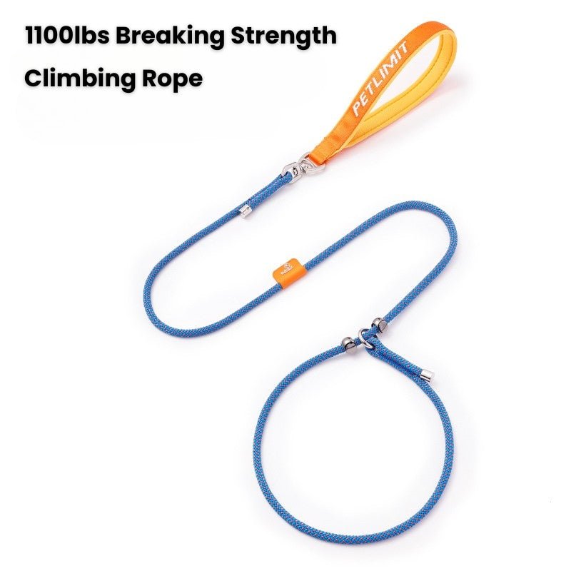 No Pull Dog Training Leash Collar Set