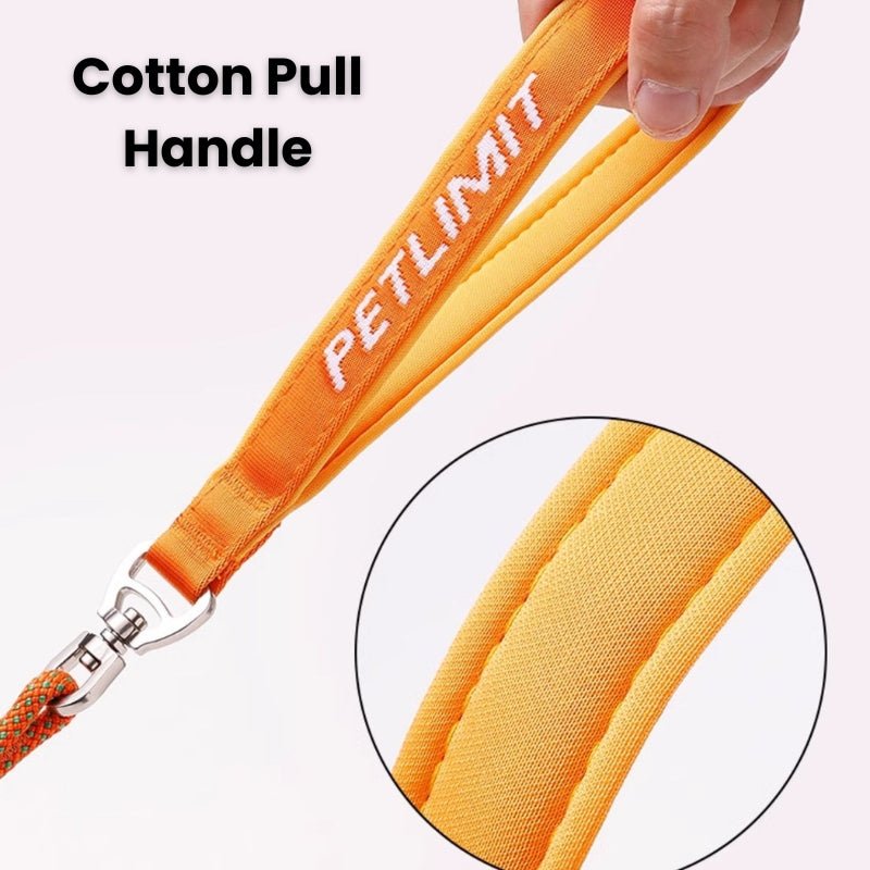 No Pull Dog Training Leash Collar Set