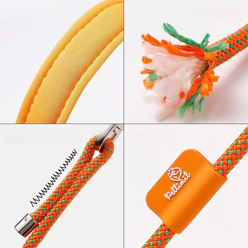 No Pull Dog Training Leash Collar Set