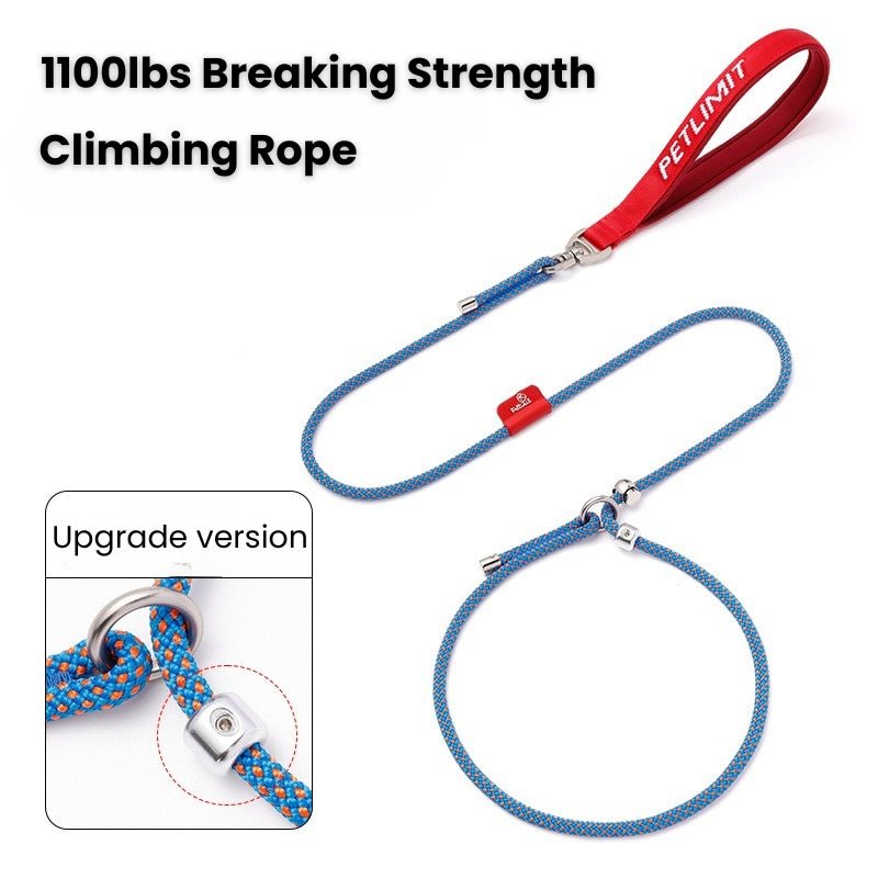 No Pull Dog Training Leash Collar Set