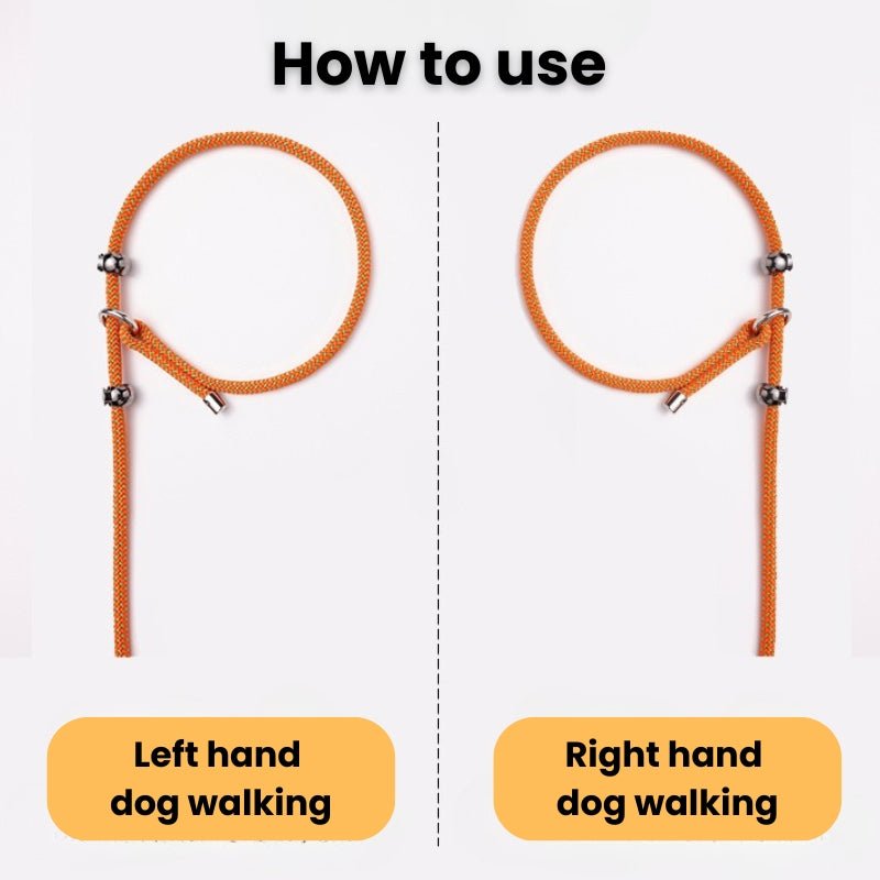 No Pull Dog Training Leash Collar Set
