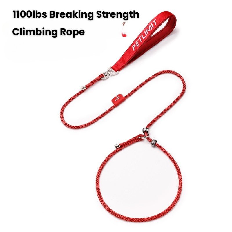 No Pull Dog Training Leash Collar Set