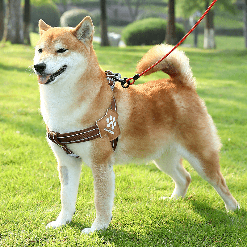 No Pull Big Dog Harness Vest