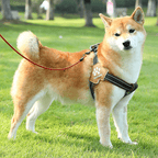 No Pull Big Dog Harness Vest