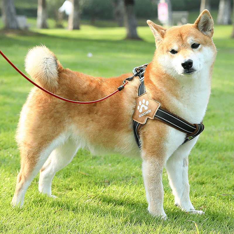 No Pull Big Dog Harness Vest