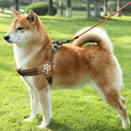 No Pull Big Dog Harness Vest