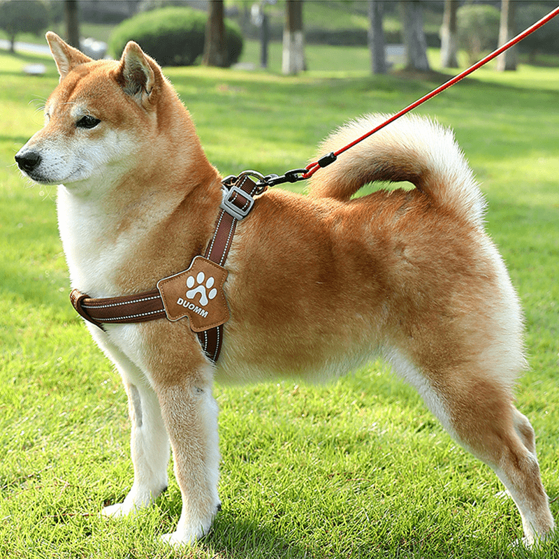 No Pull Big Dog Harness Vest