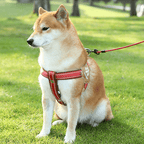 No Pull Big Dog Harness Vest