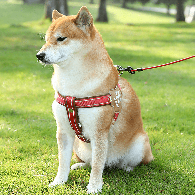 No Pull Big Dog Harness Vest