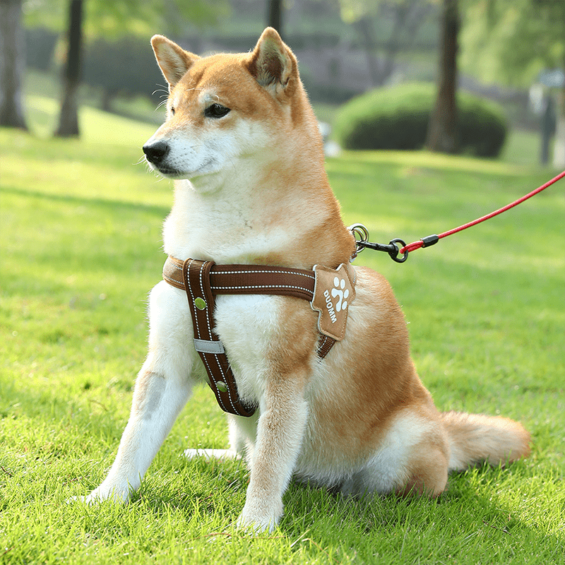 No Pull Big Dog Harness Vest