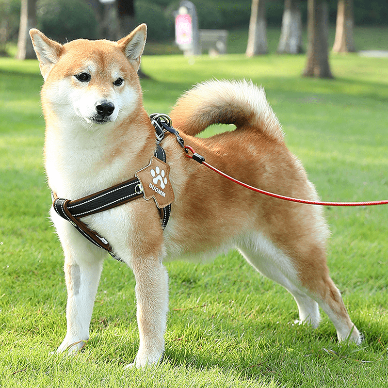 No Pull Big Dog Harness Vest