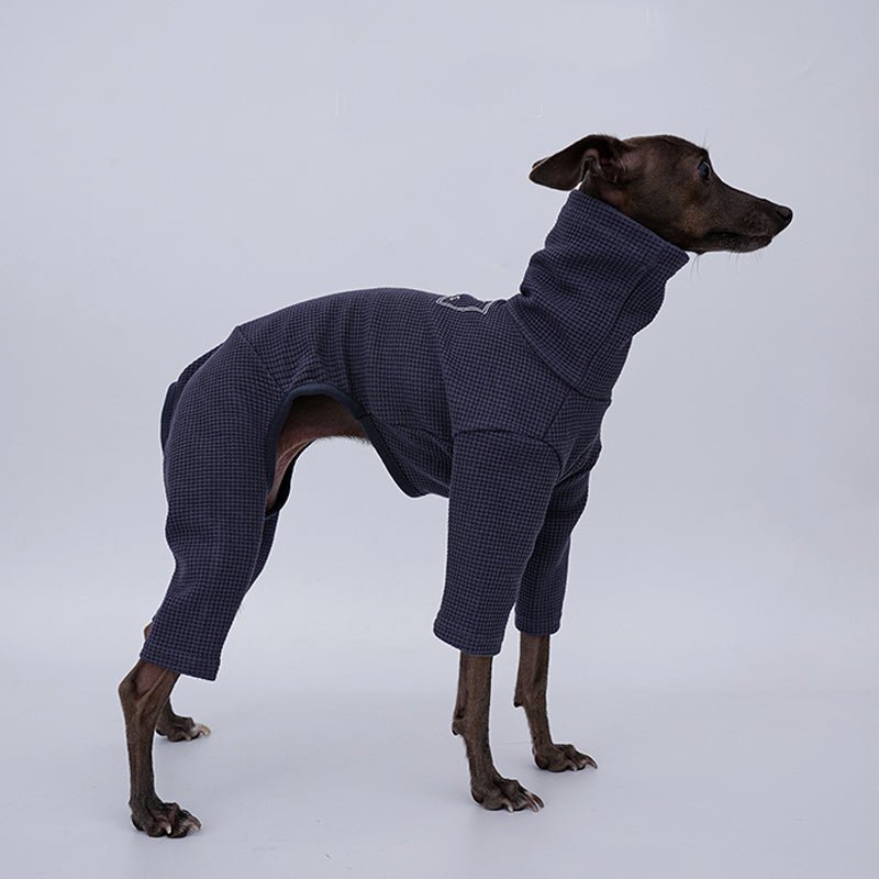 Stylish Italian Greyhound Whippet Jumpsuit