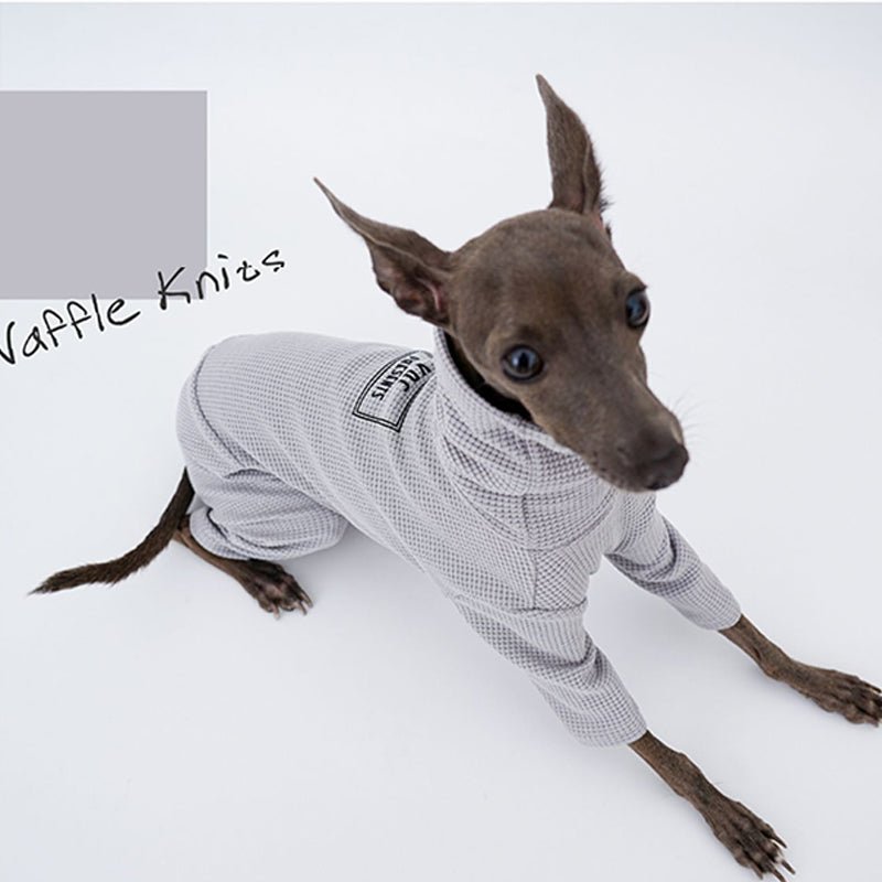 Stylish Italian Greyhound Whippet Jumpsuit