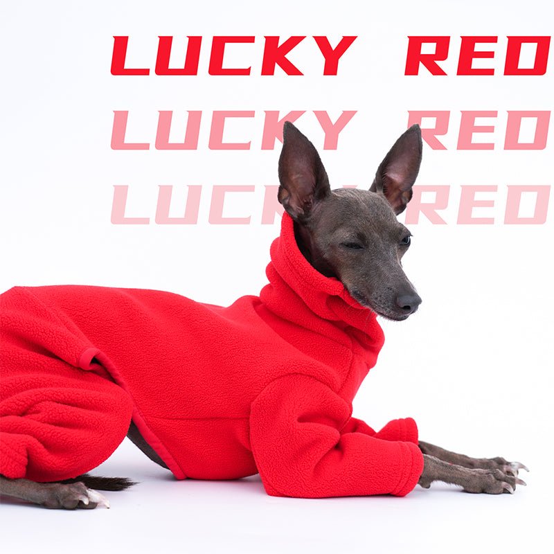 Warm Italian Greyhound Whippet Jumpsuit