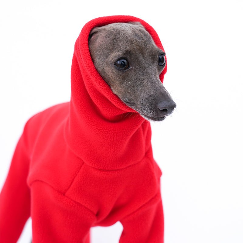 Warm Italian Greyhound Whippet Jumpsuit