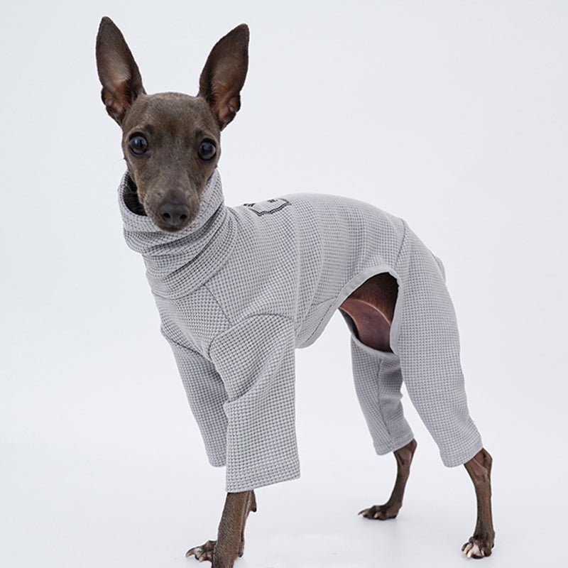 Stylish Italian Greyhound Whippet Jumpsuit