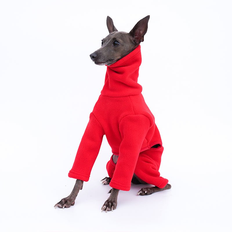 Warm Italian Greyhound Whippet Jumpsuit