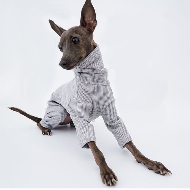 Stylish Italian Greyhound Whippet Jumpsuit