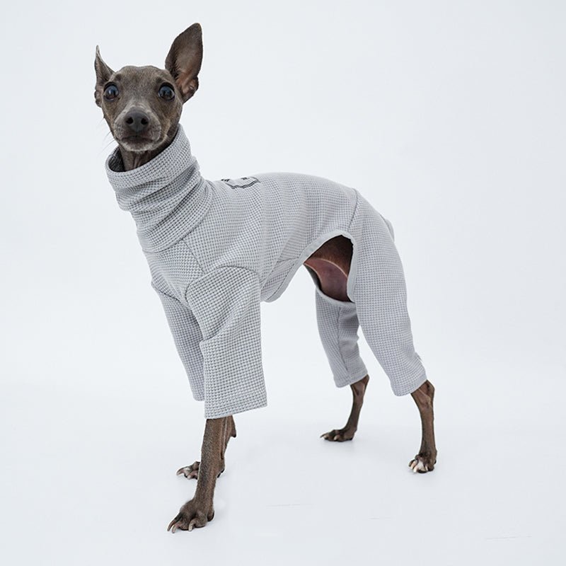 Stylish Italian Greyhound Whippet Jumpsuit