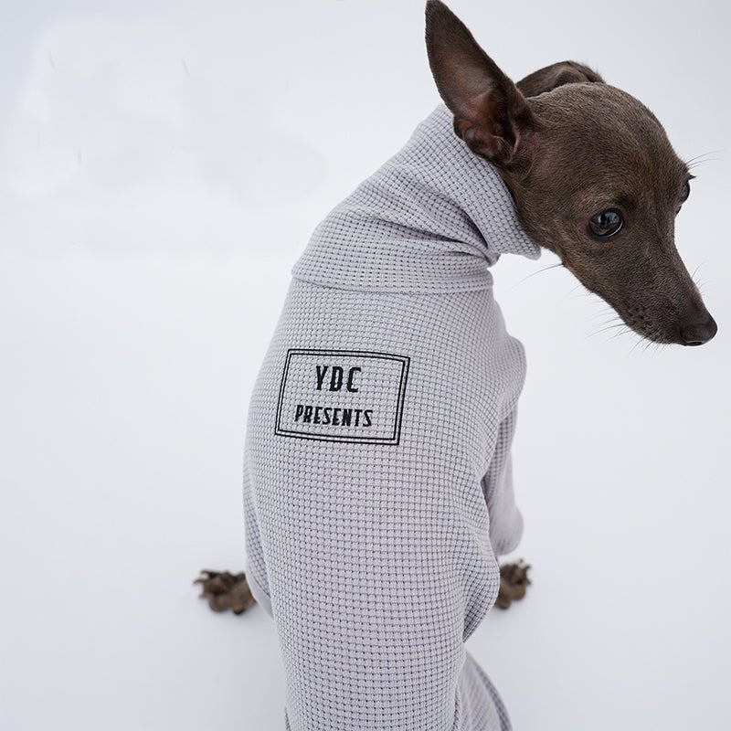 Stylish Italian Greyhound Whippet Jumpsuit