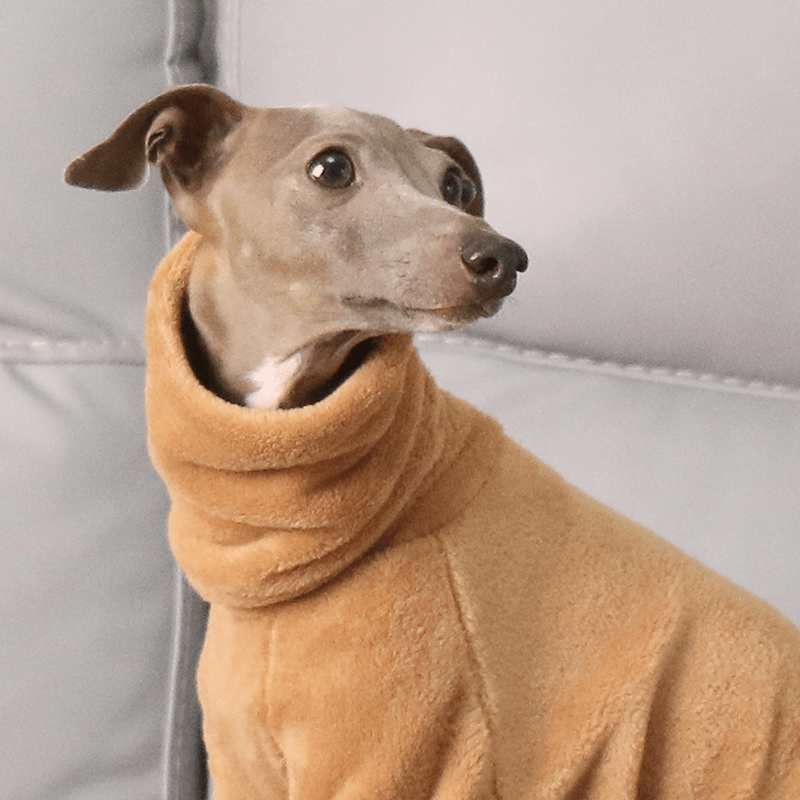Warm Fleece Whippet Dog Clothing