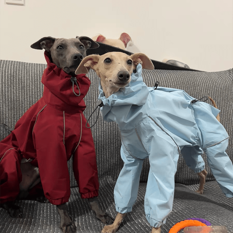 Waterproof Italian Greyhound Dog Jacket
