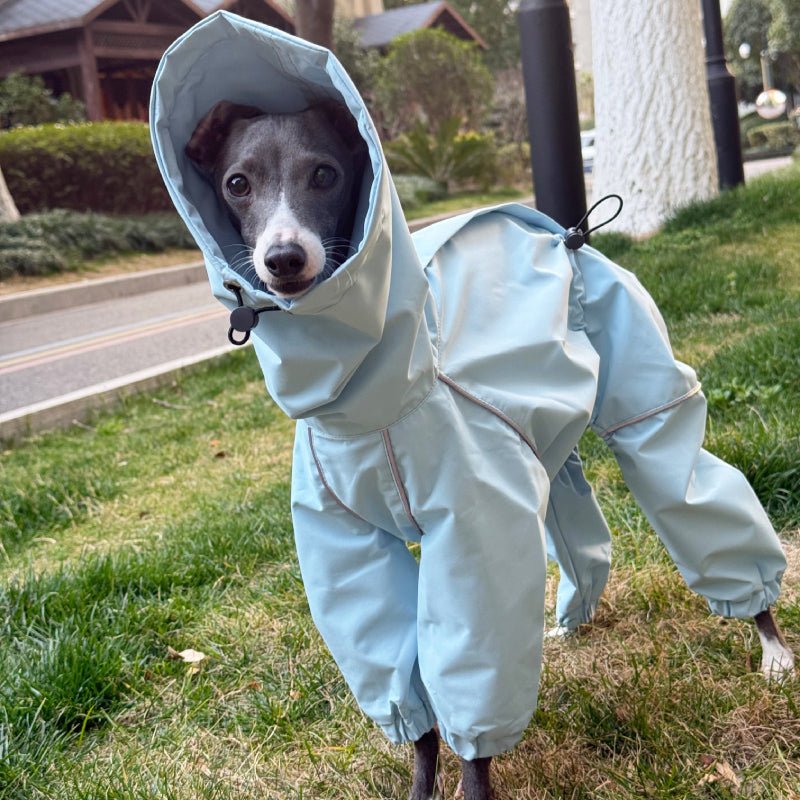 Waterproof Italian Greyhound Dog Jacket
