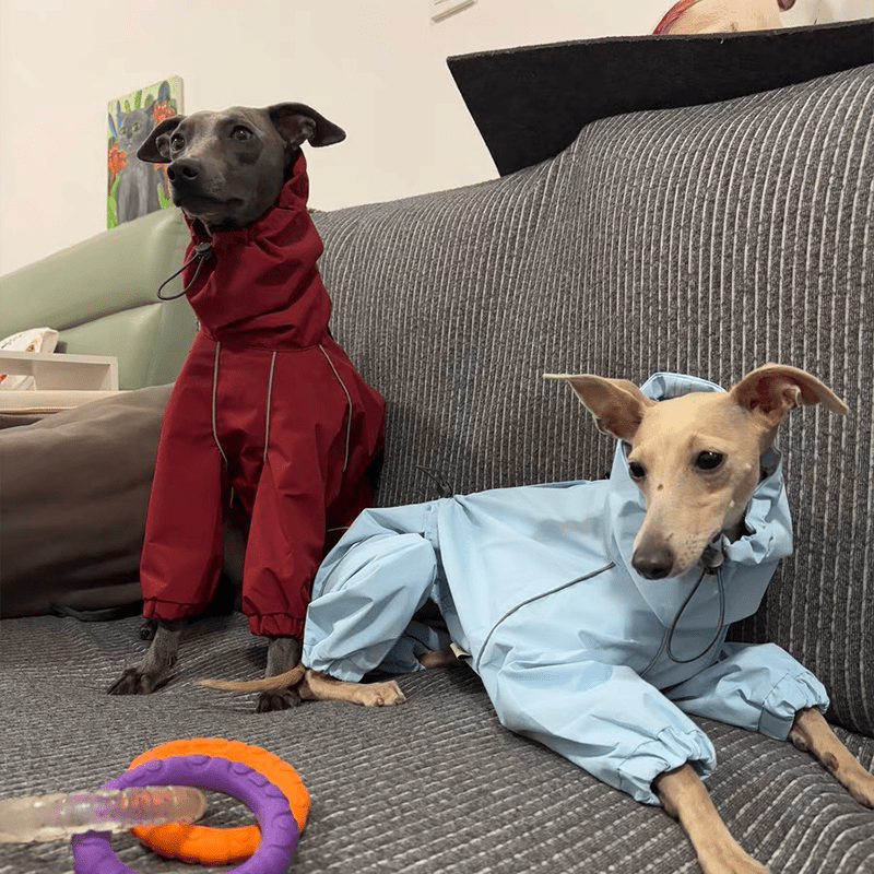 Waterproof Italian Greyhound Dog Jacket