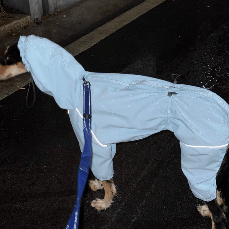 Waterproof Italian Greyhound Dog Jacket