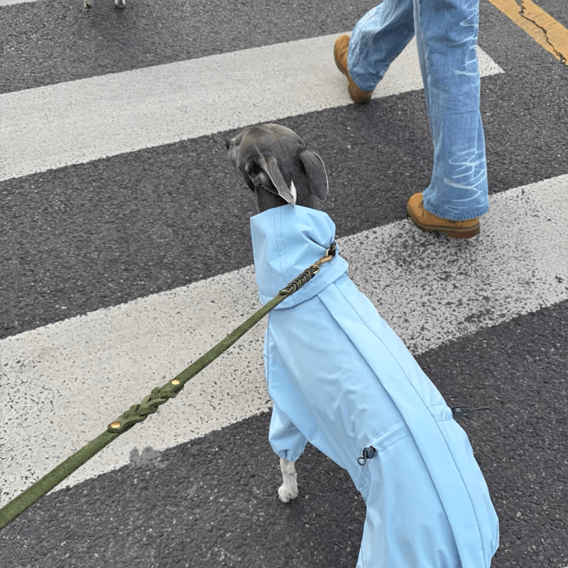 Waterproof Italian Greyhound Dog Jacket
