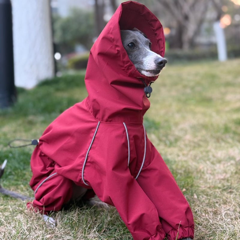 Waterproof Italian Greyhound Dog Jacket