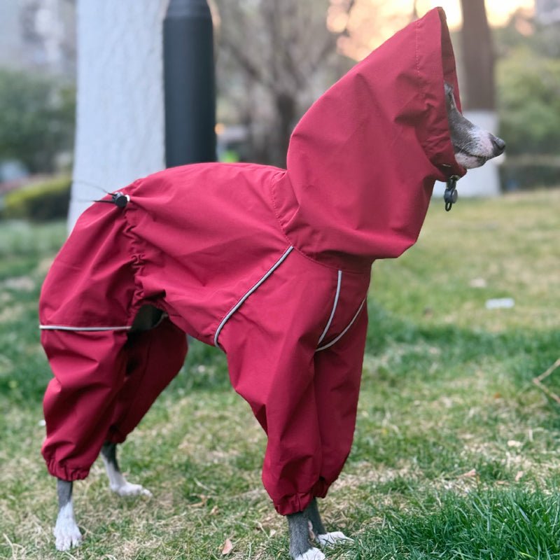 Waterproof Italian Greyhound Dog Jacket