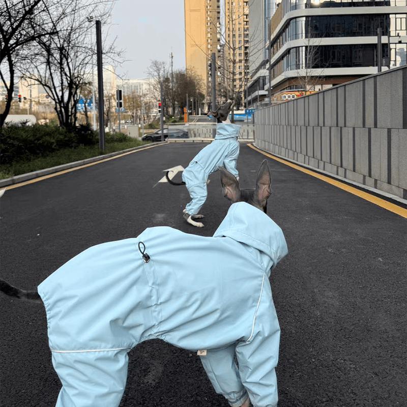 Waterproof Italian Greyhound Dog Jacket
