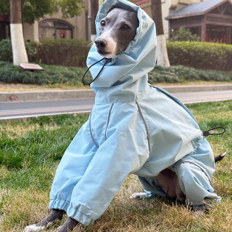 Waterproof Italian Greyhound Dog Jacket