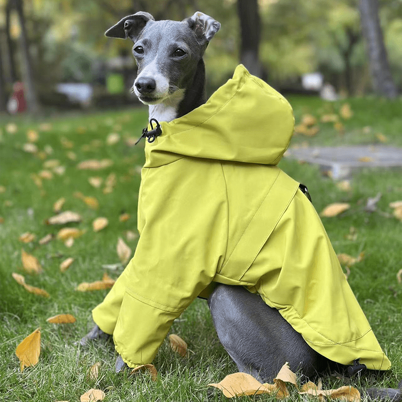 Warm Waterproof Italian Greyhound Raincoat
